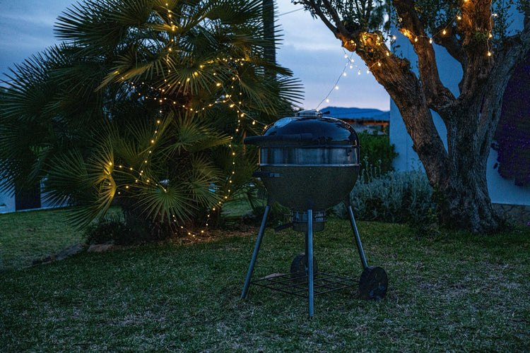 Napoleon Kettle Pro vs standaard kettle