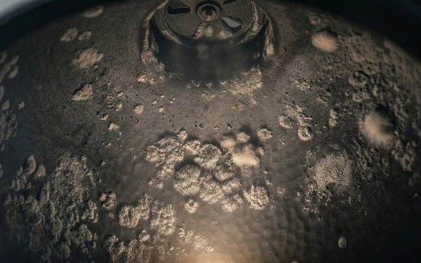 Schimmel in je kamado: oorzaken, oplossen en voorkomen