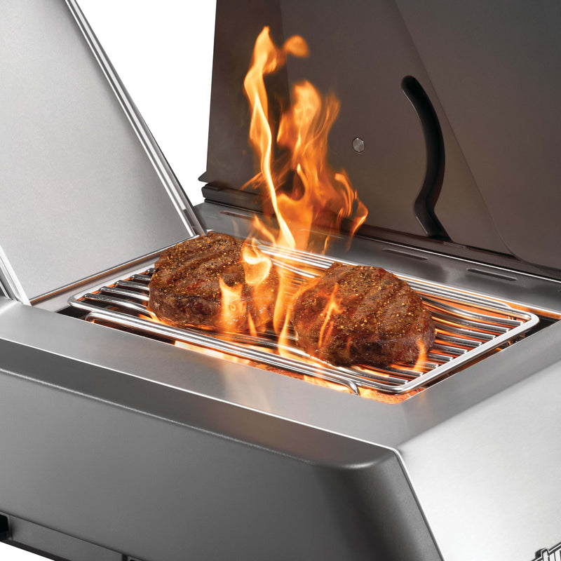 Laad afbeelding in galerij, Napoleon Prestige 500 - RVS
