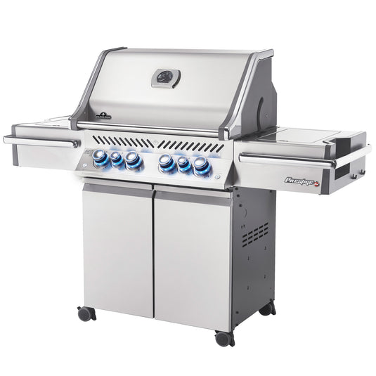 Napoleon Prestige PRO 500 - RVS