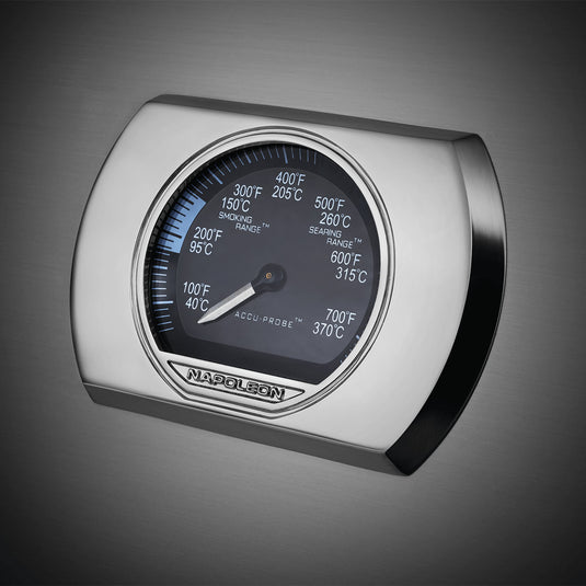 Napoleon Prestige PRO 665 - RVS