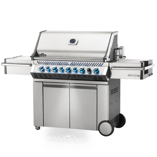 Napoleon Prestige PRO 665 - RVS